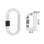 Steel Screw Locking Karabiner 101